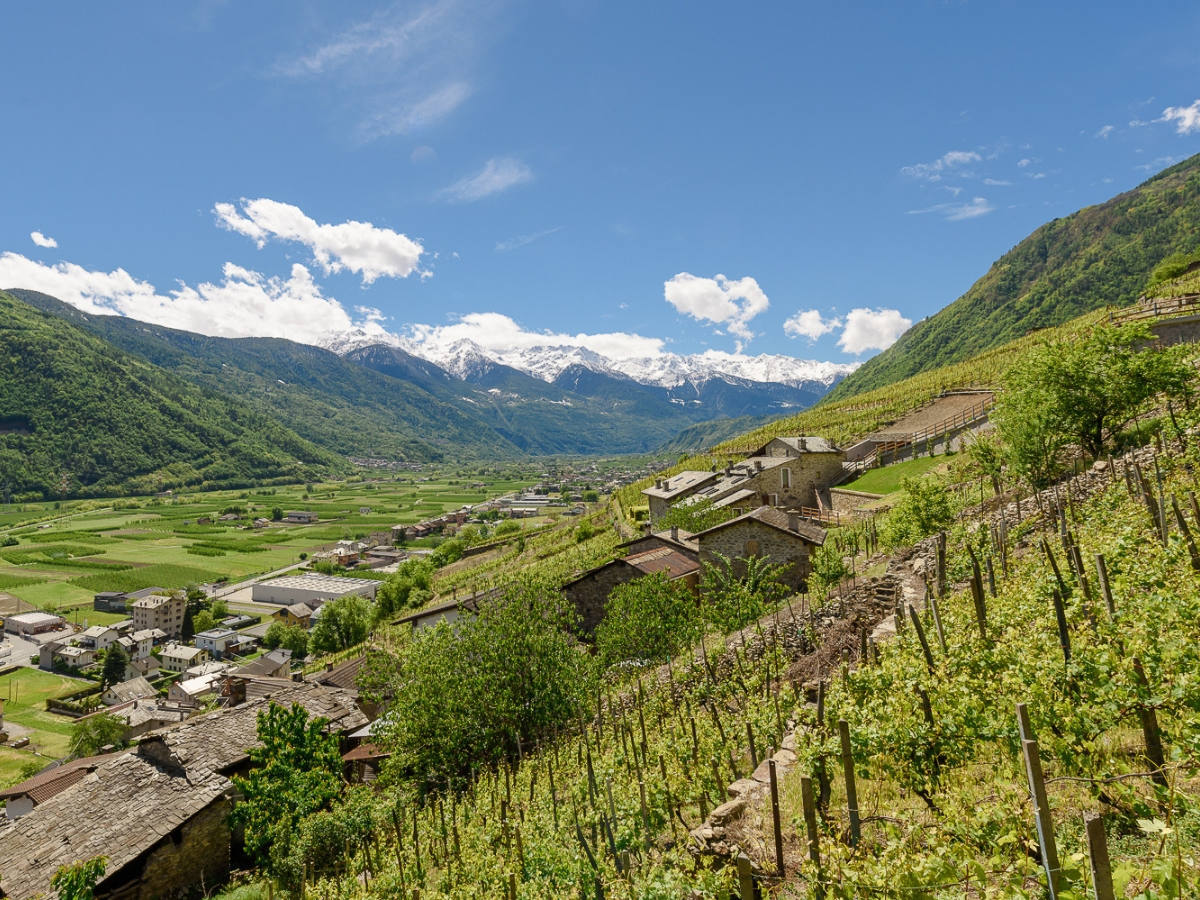 Ca Merlo, vista panoramica dai vigneti