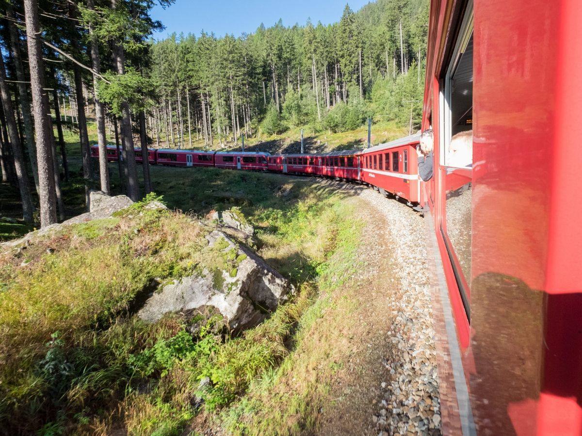 il trenino rosso in un bosco