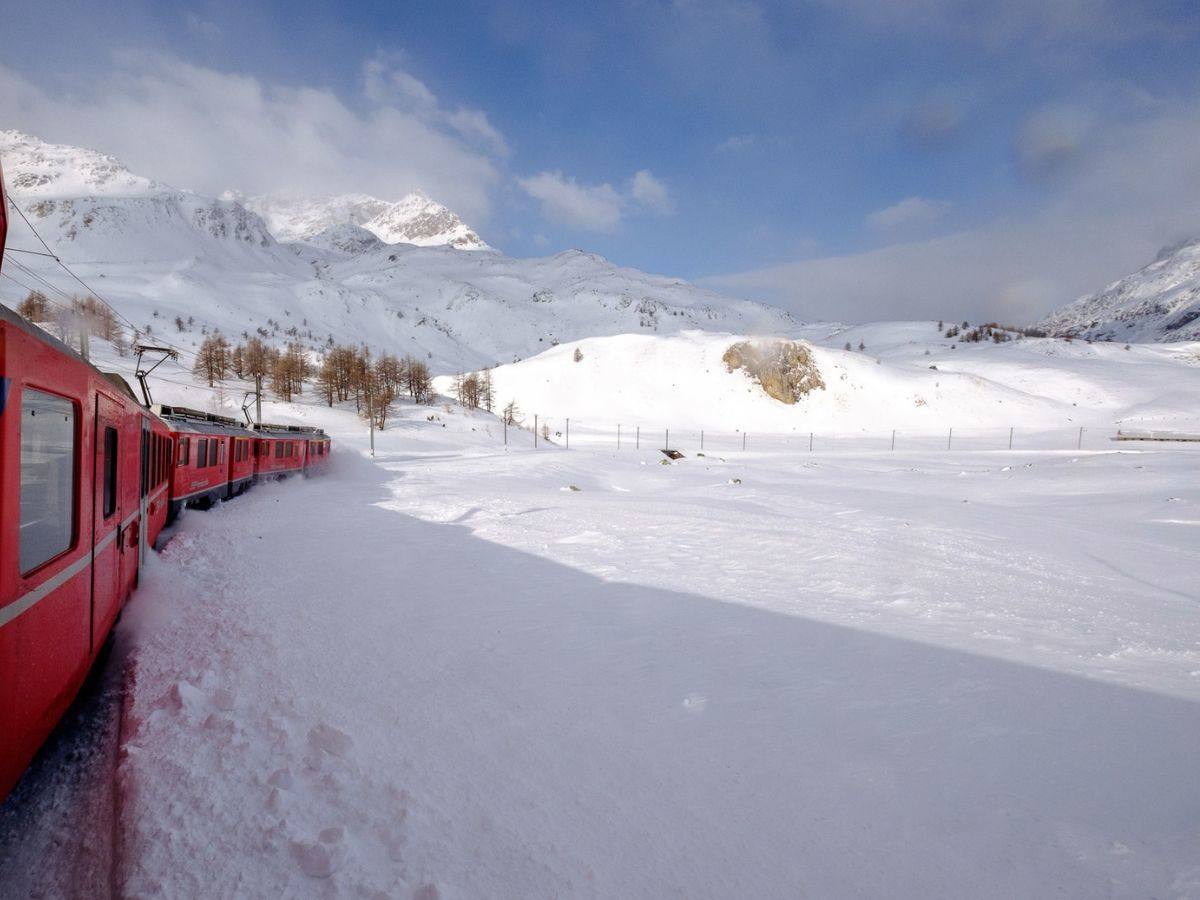 il trenino rosso in un paesaggio innevato