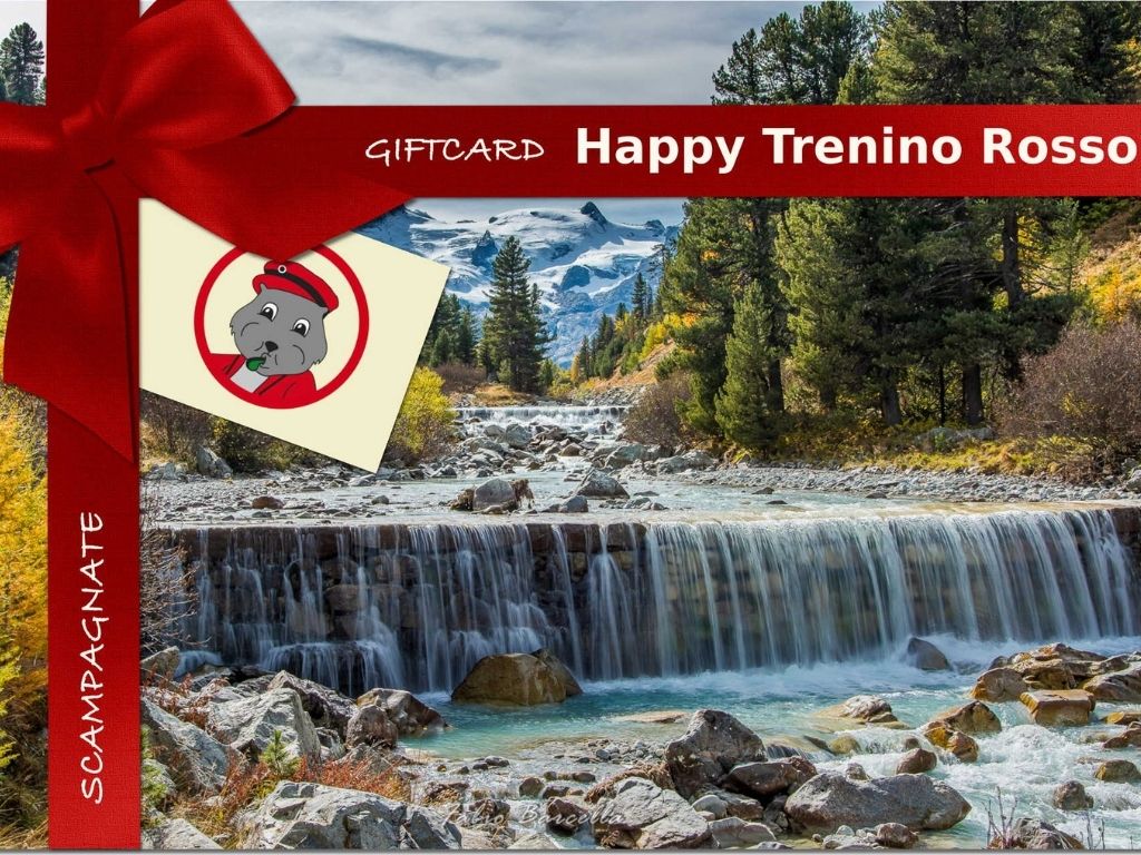 https://www.trenino-rosso-bernina.it/it/idee-regalo/5/gift-card/145/gift-card-le-scampagnate-di-happy/|Le gift card di Happy https://www.trenino-rosso-bernina.it/it/idee-regalo/5/gift-card/145/gift-card-le-scampagnate-di-happy/|Le gift card di Happy