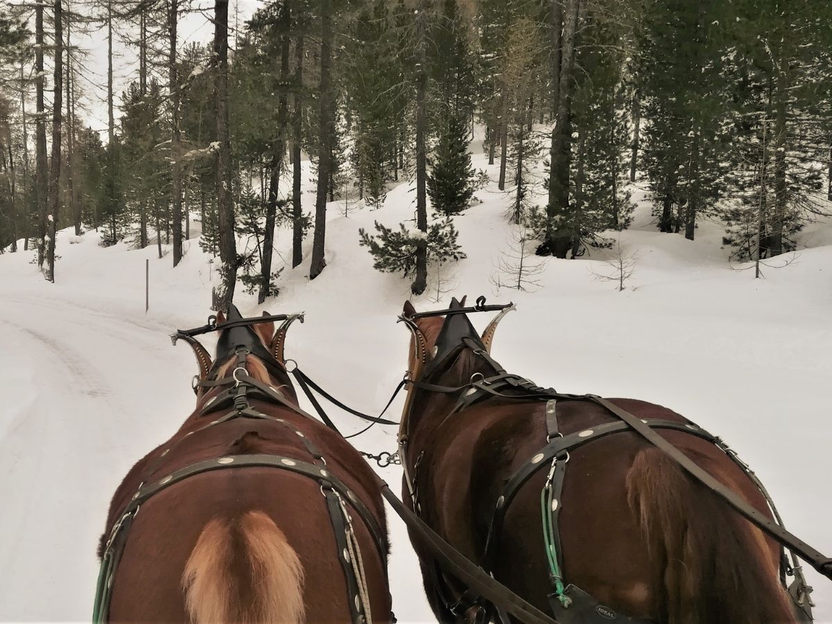 Sulle tracce delle fiabe