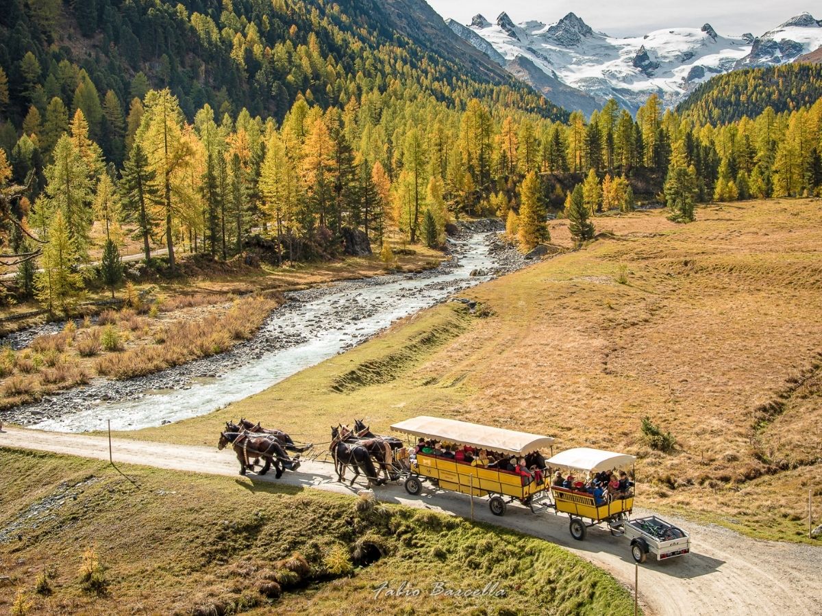 Carrozze in Val Roseg per una vacanza tra le Alpi