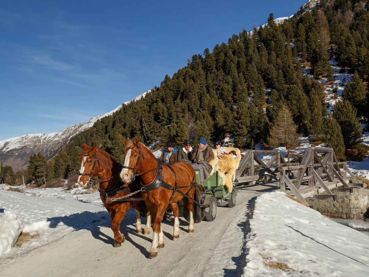 Tour su carrozze trainate dai cavalli