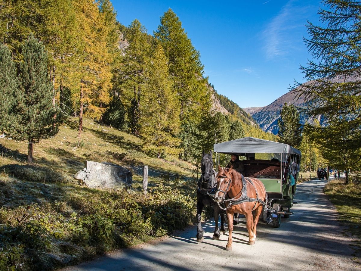 Escursione estiva in val Roseg con i cavalli