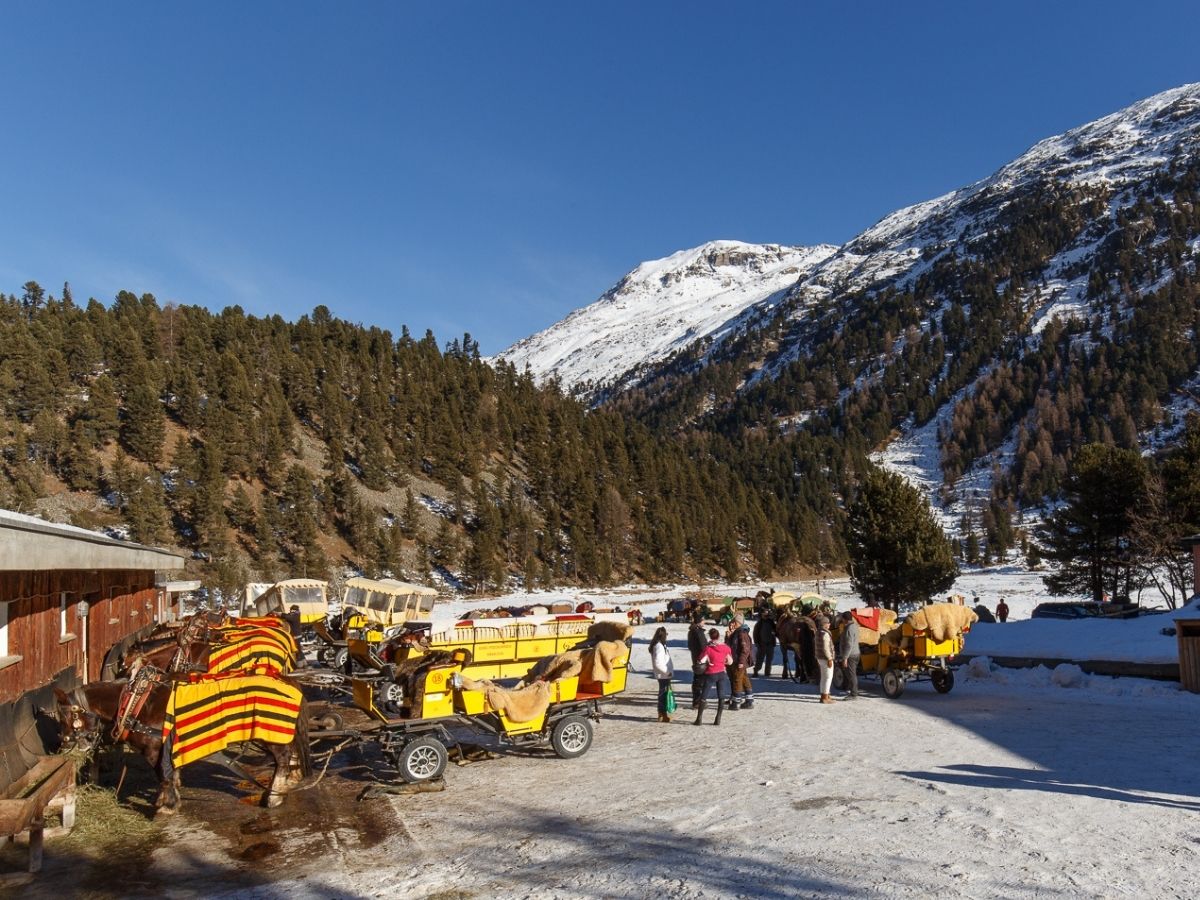 Carrozze e cavalli in Val Roseg