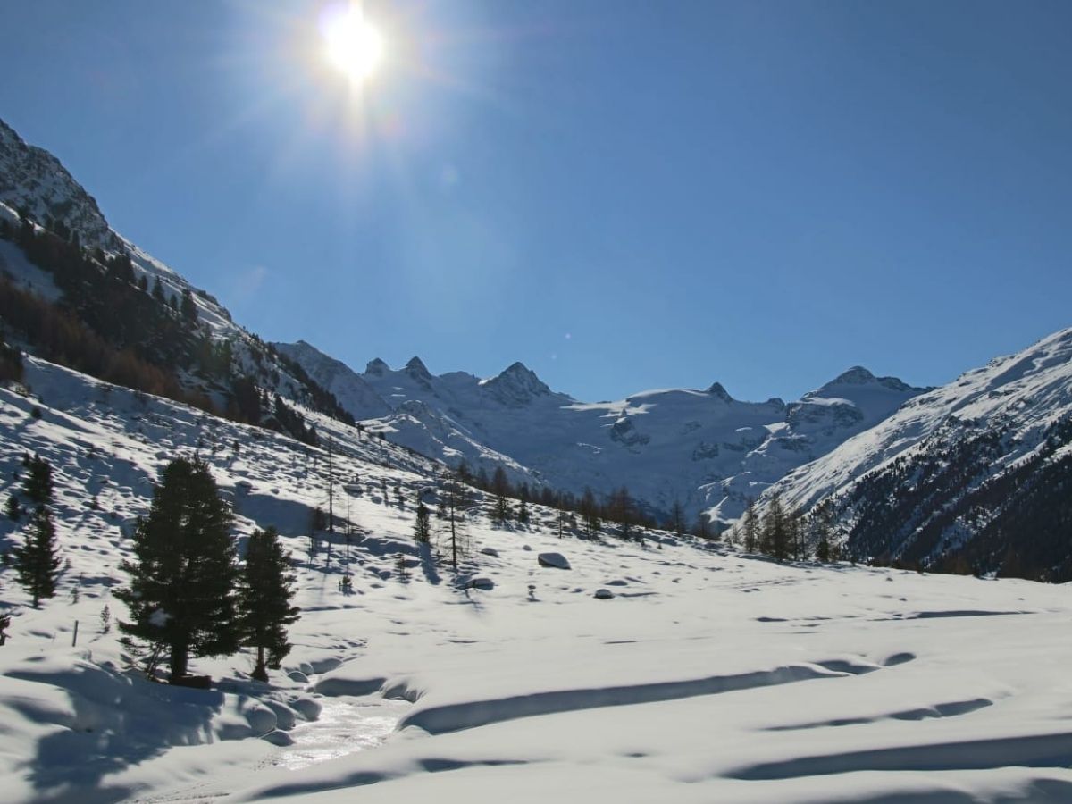Panorama in Val Roseg