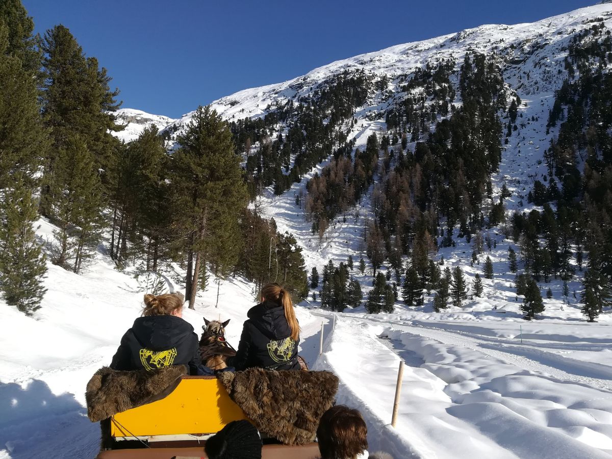 Epifania in Val Roseg con escursione in carrozza