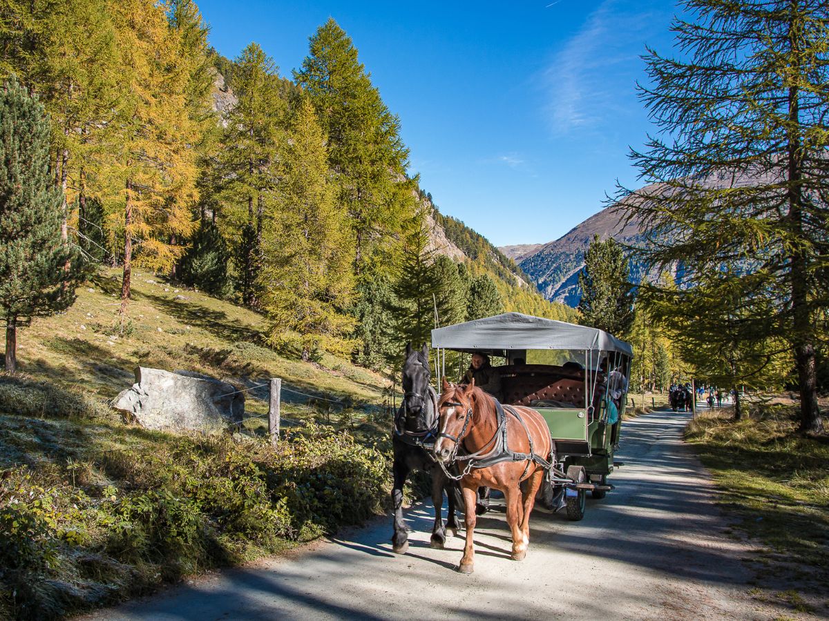 La Val Roseg e le carrozze con i cavalli