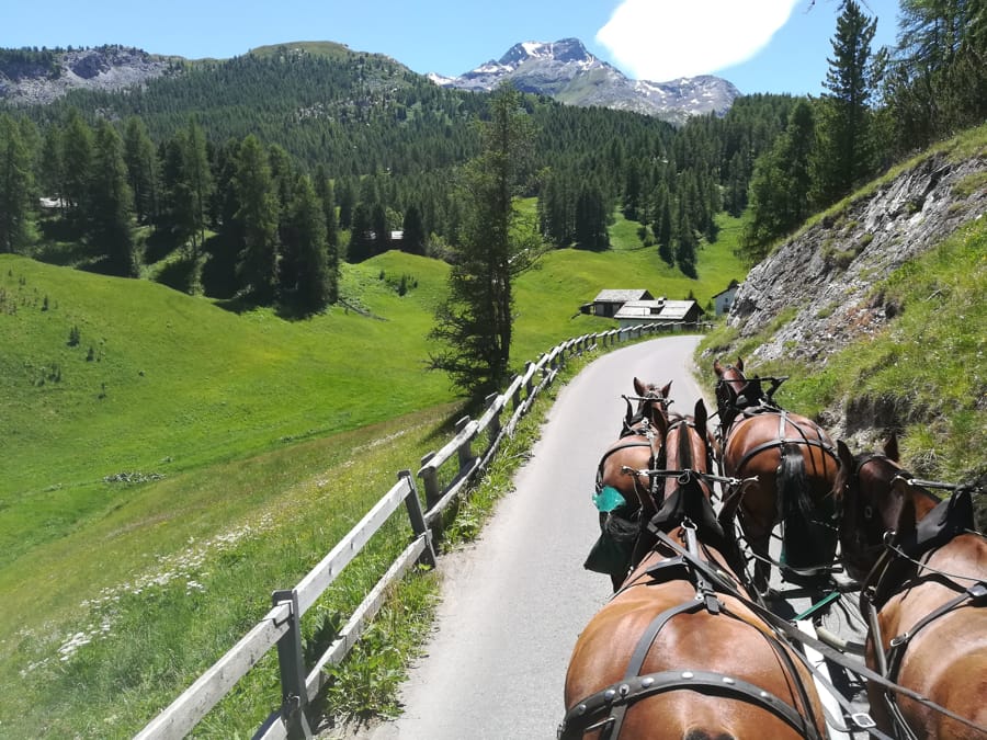 Carrozze e cavalli in Val Fex