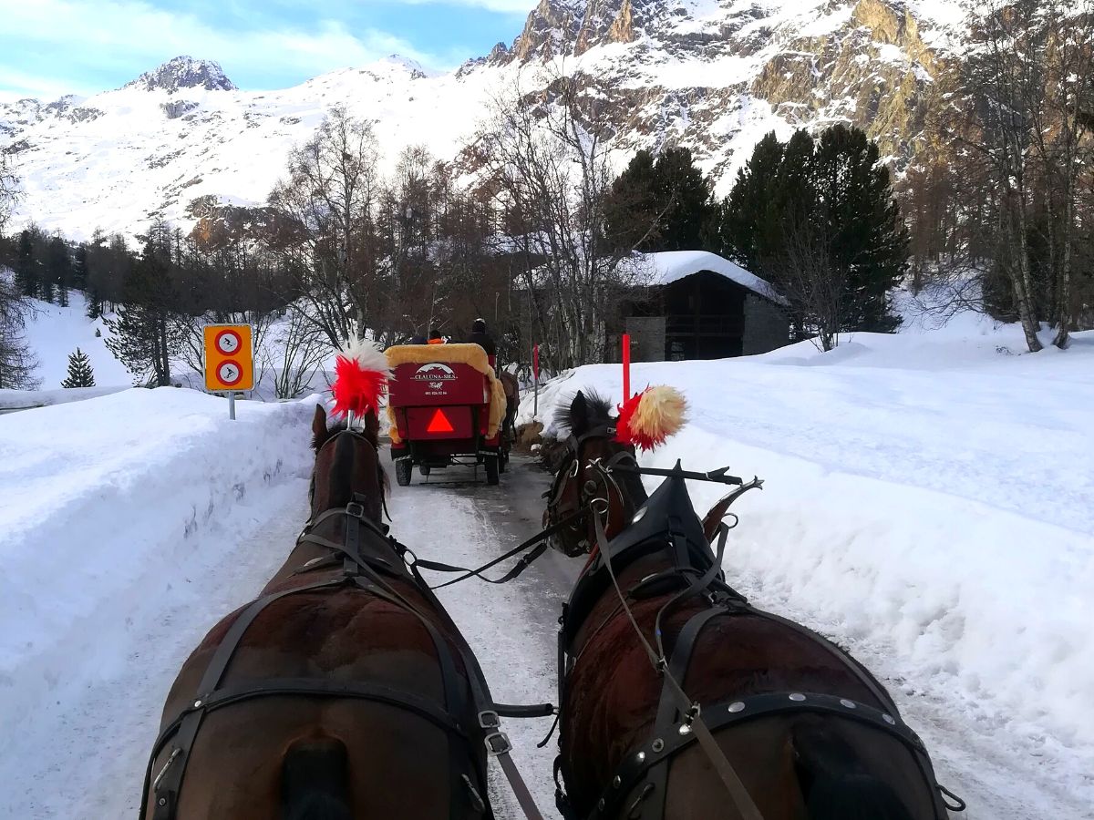 Carrozza con splendidi cavalli in Val Fex.jpg
