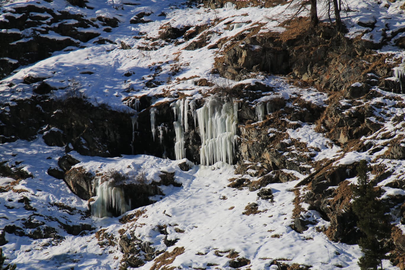 Natura incontaminata