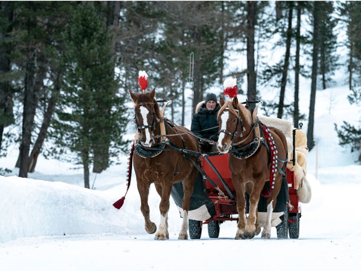 San Valentino in carrozza in Val Bever