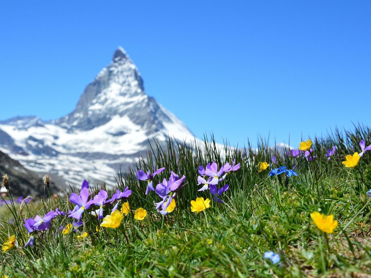Ai piedi del Cervino