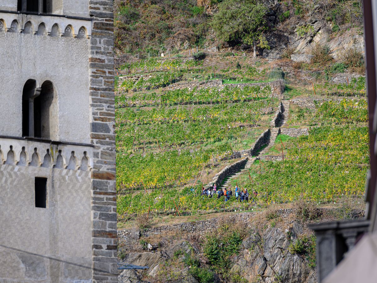 Alla scoperta della viticoltura eroica