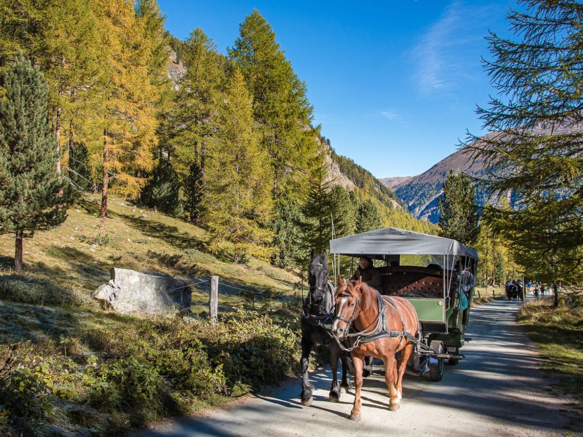 Tour guidato su carrozze con cavalli