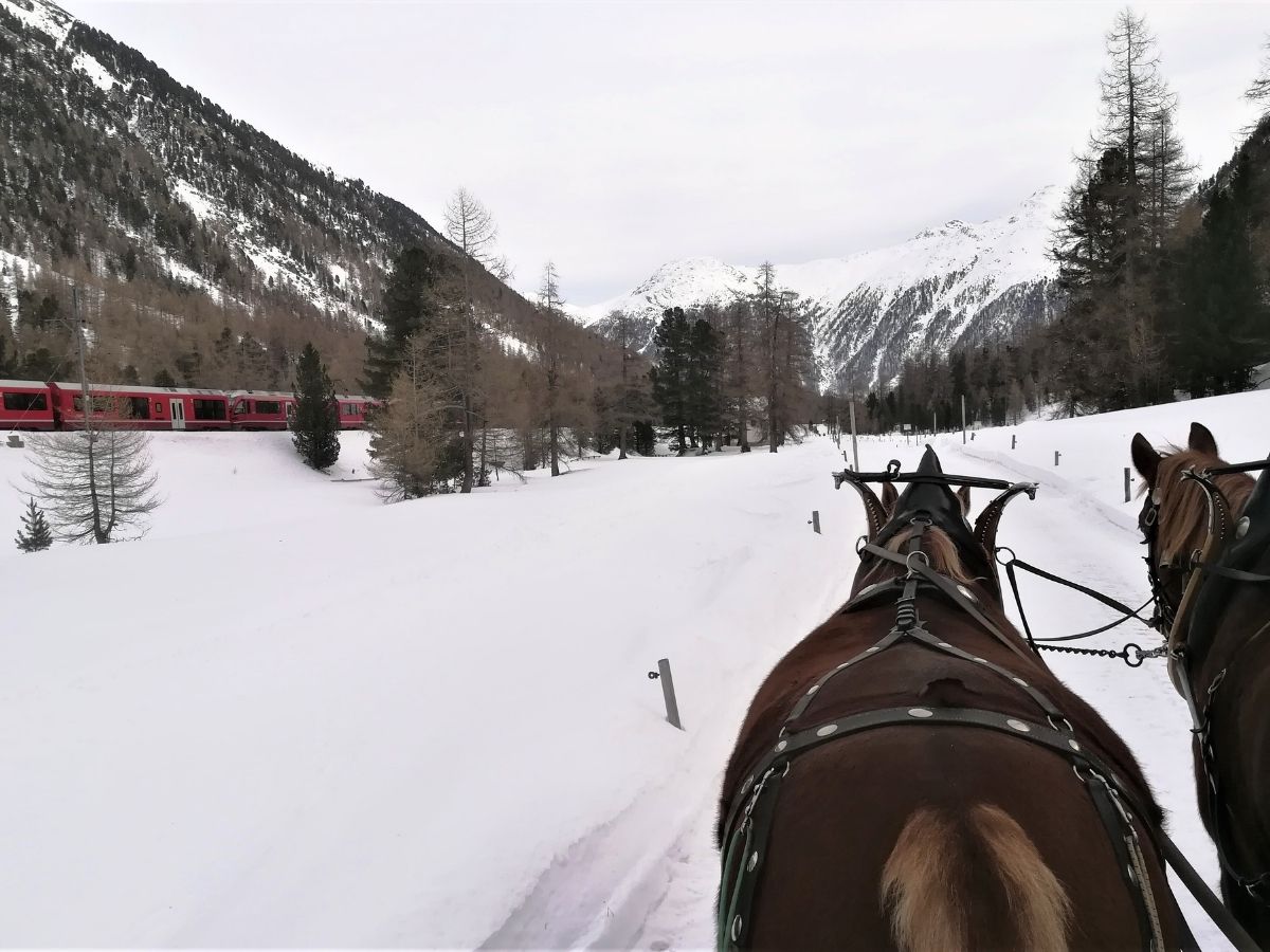 Trenino rosso del Bernina