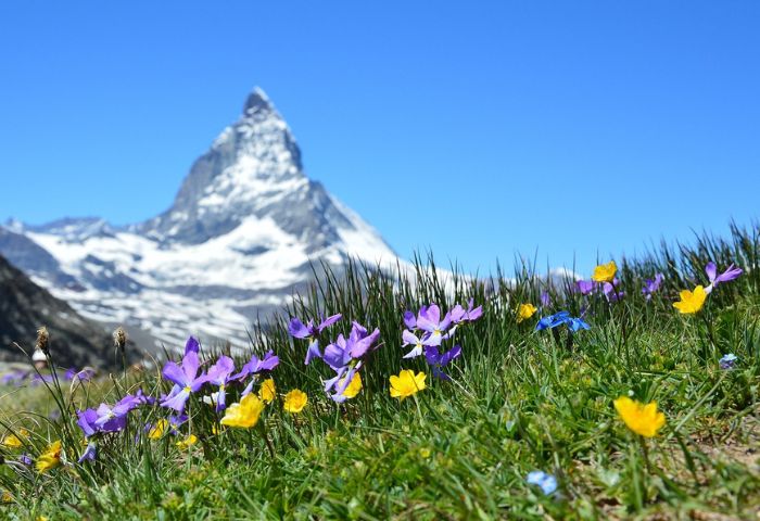 Il Cervino a Zermatt