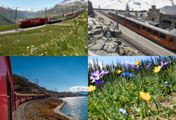 Glacier Express, Gornergrat e Bernina