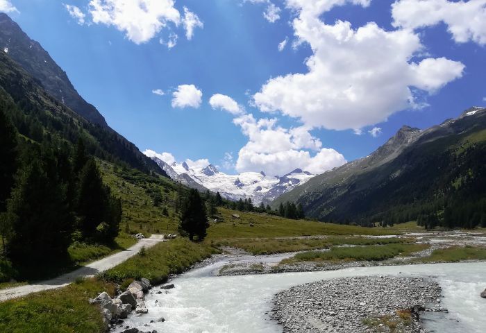 Piz Roseg in lontananza