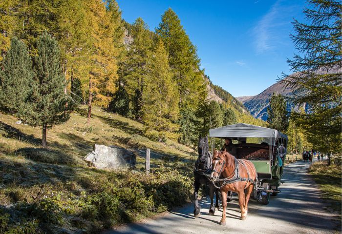 Trenino rosso e Val Roseg
