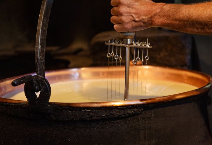 Esperienza in caseificio