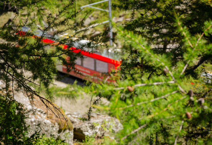 Treno e natura
