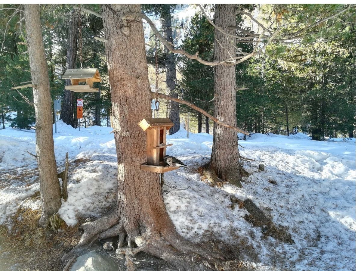 Le scampagnate di Happy: tour giornaliero con guida