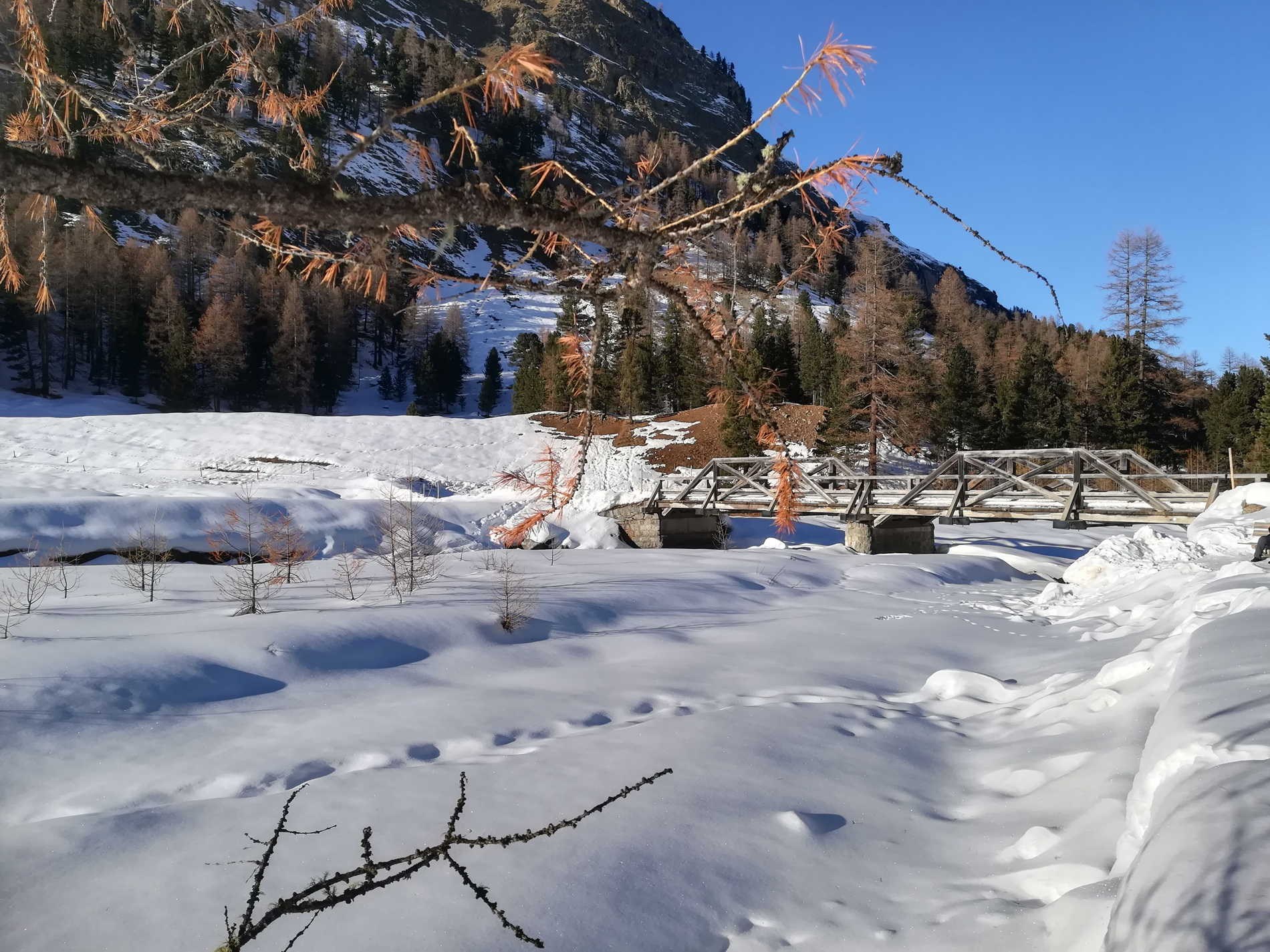 Le scampagnate di Happy: tour giornaliero con guida