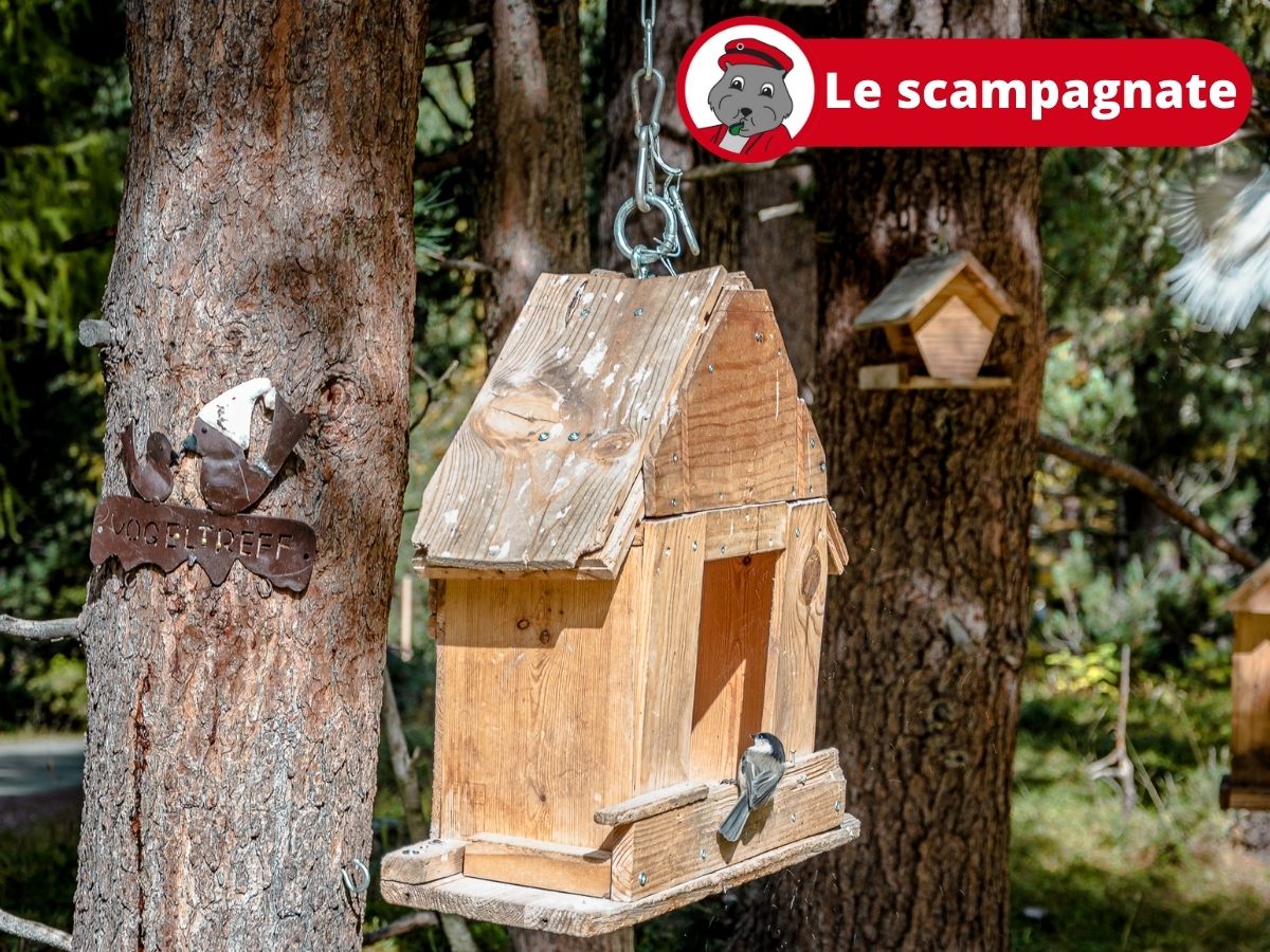 La valle delle cince - summer time