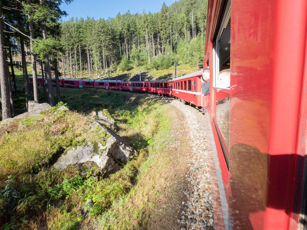Tour guidato sul trenino del Bernina