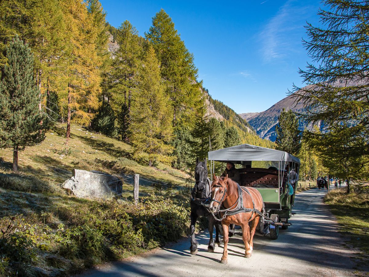 Slow tour sulle carrozze