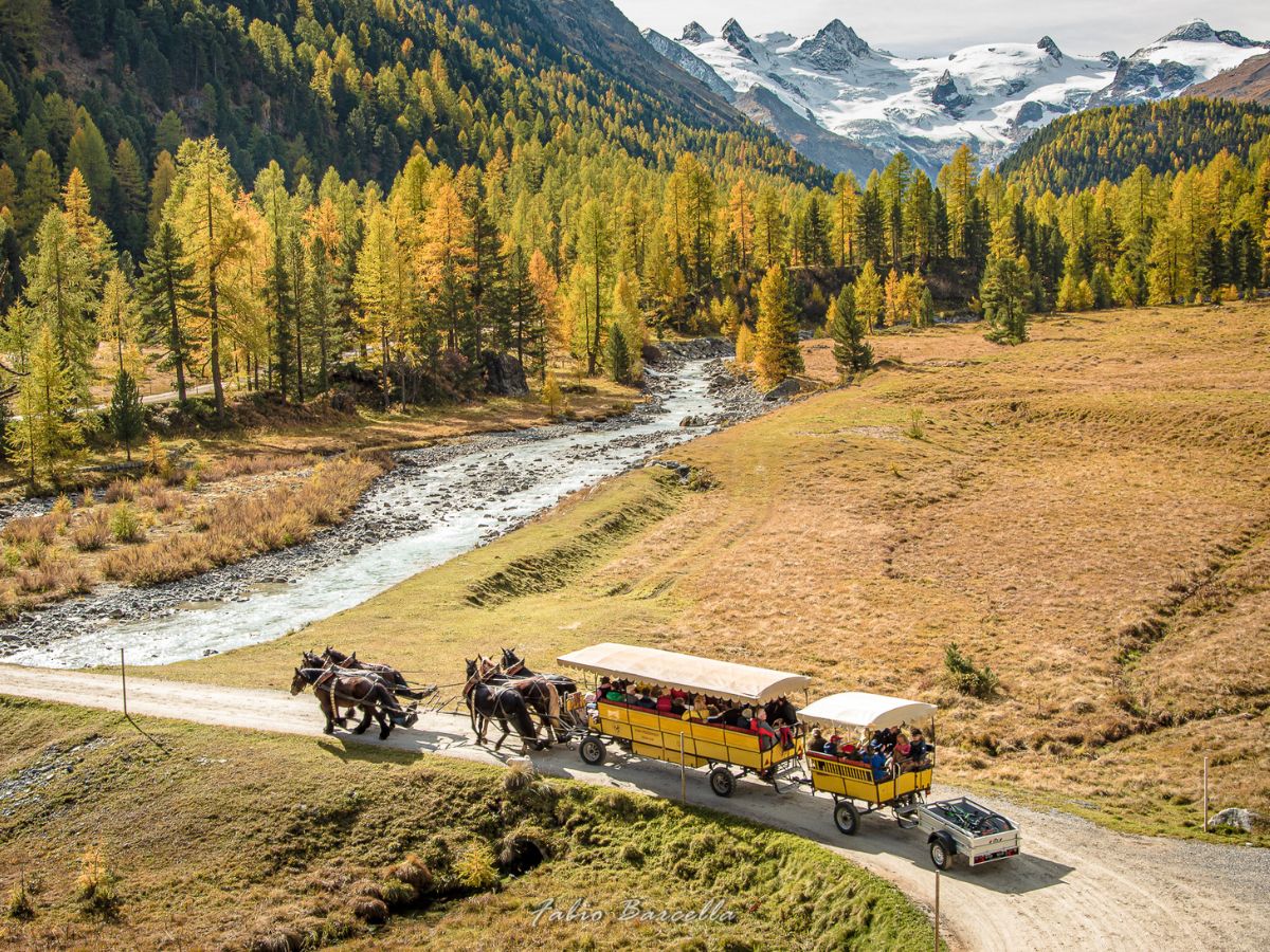 La Val Roseg e le carrozze con i cavalli