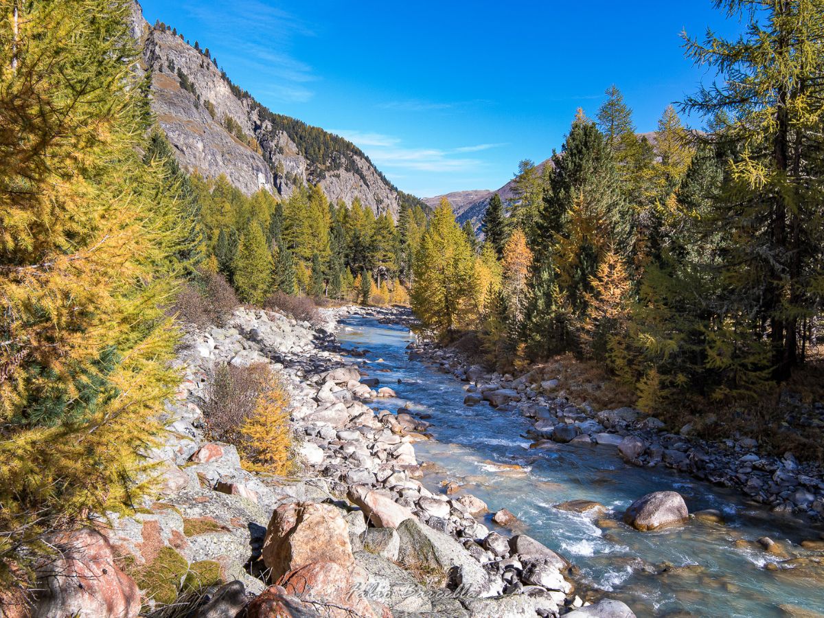 Sentieri immersi nella natura di Pontresina