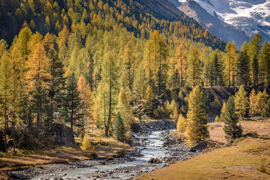 Il foliage in Engadina
